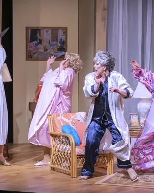 Golden Girls: The Laughs Continue
