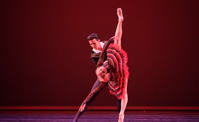 International Ballet Festival of Miami