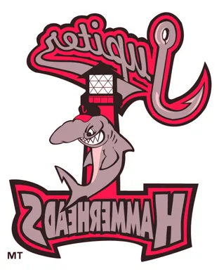 Jupiter Hammerheads vs. Daytona Tortugas sports event