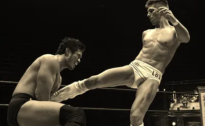 New Japan Pro Wrestling