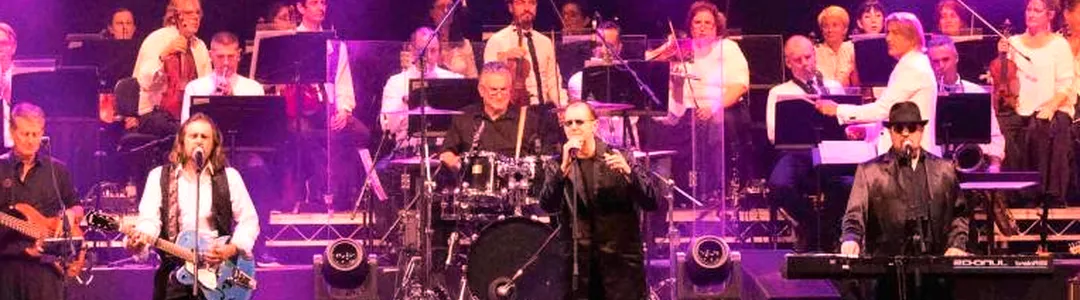 The New York Bee Gees - Bee Gees Tribute