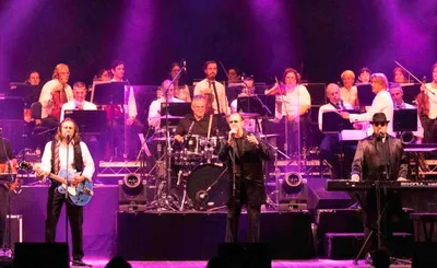 The New York Bee Gees - Bee Gees Tribute