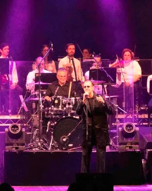 The New York Bee Gees - Bee Gees Tribute