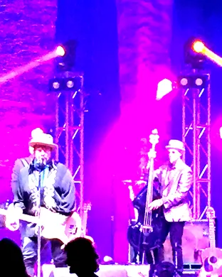 The Mavericks