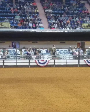 Black Belt Spectacular