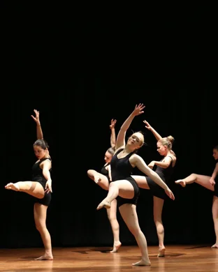 Aerial Arts Society Competition